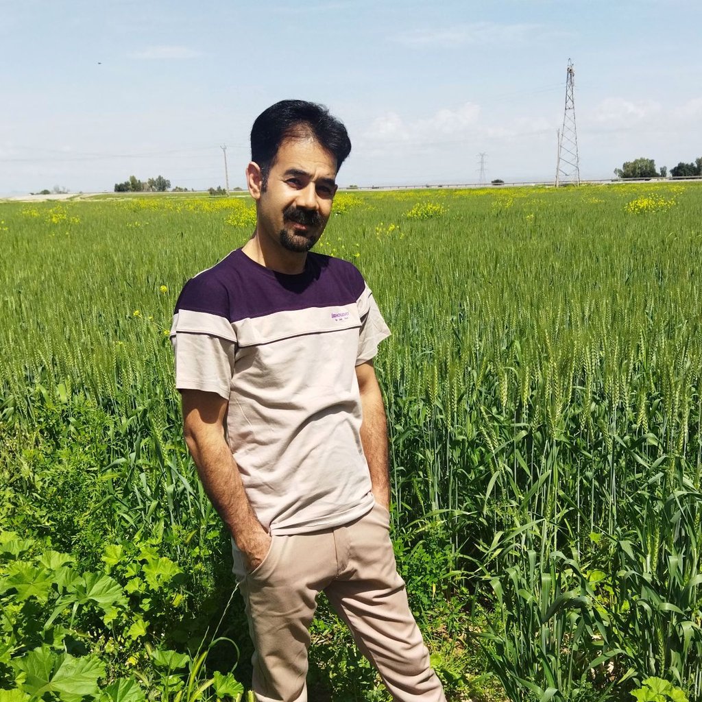 Farzad