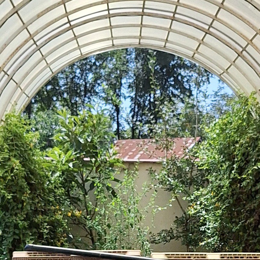 تصویر پروفایل میزبان