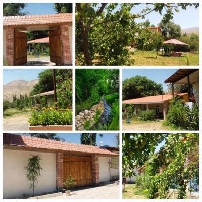 کوروش