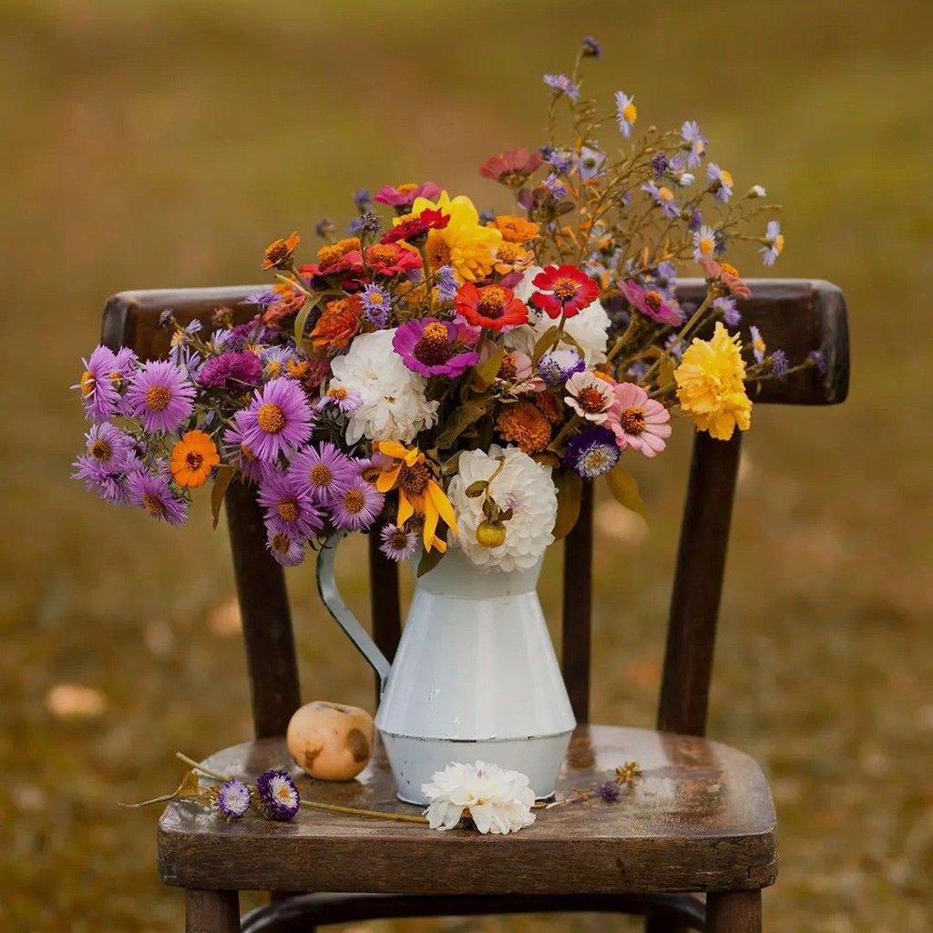 تصویر پروفایل میزبان