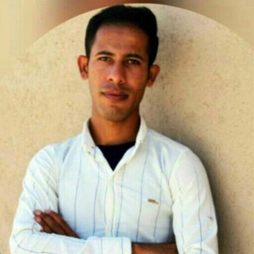 محمدرضا