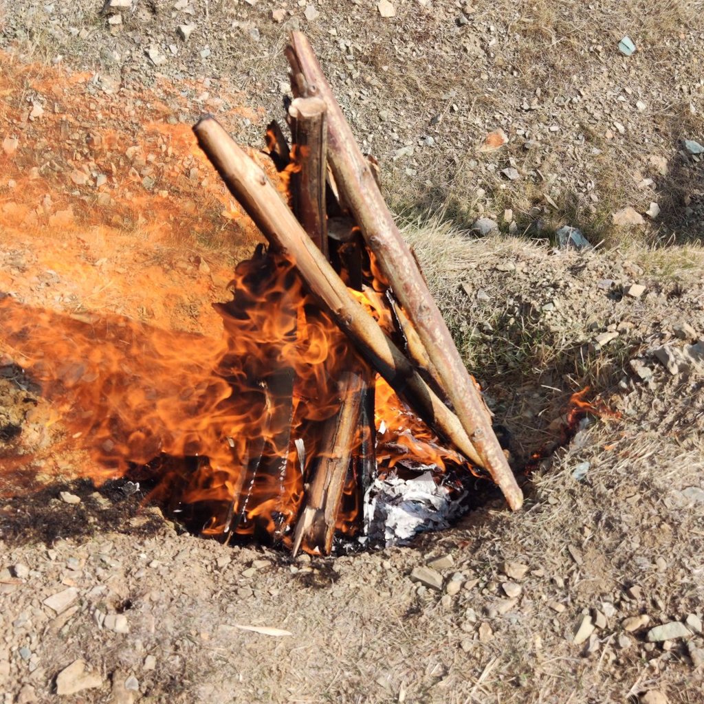 مرتضی