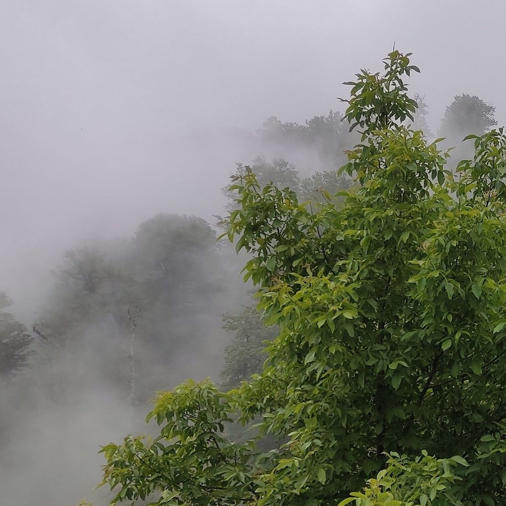 تصویر پروفایل میزبان