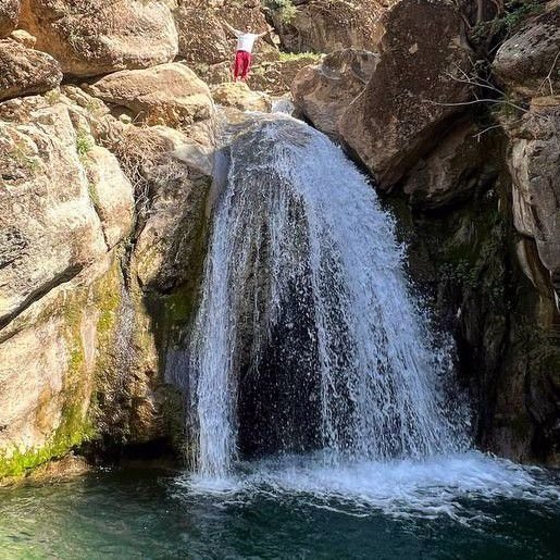 میزبان جاباما - وحید  اسکندری