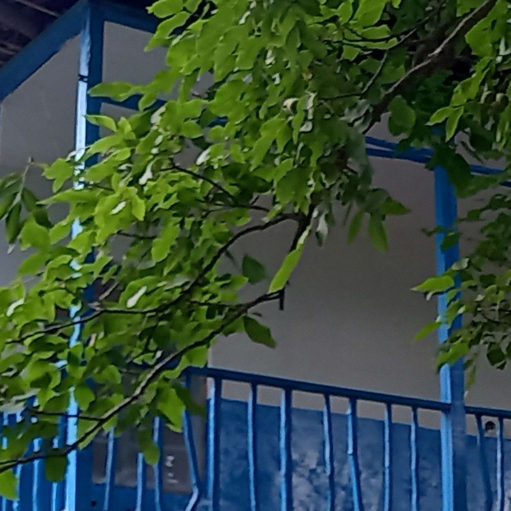 غلامحسين