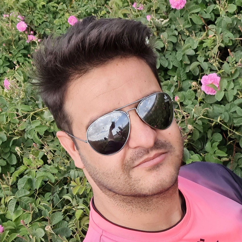 محمدرضا