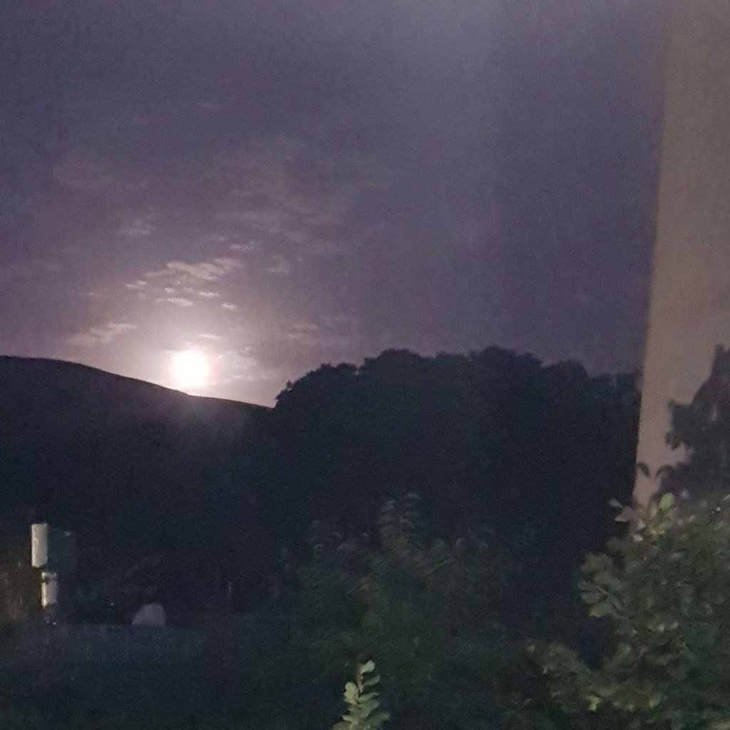 تصویر پروفایل میزبان