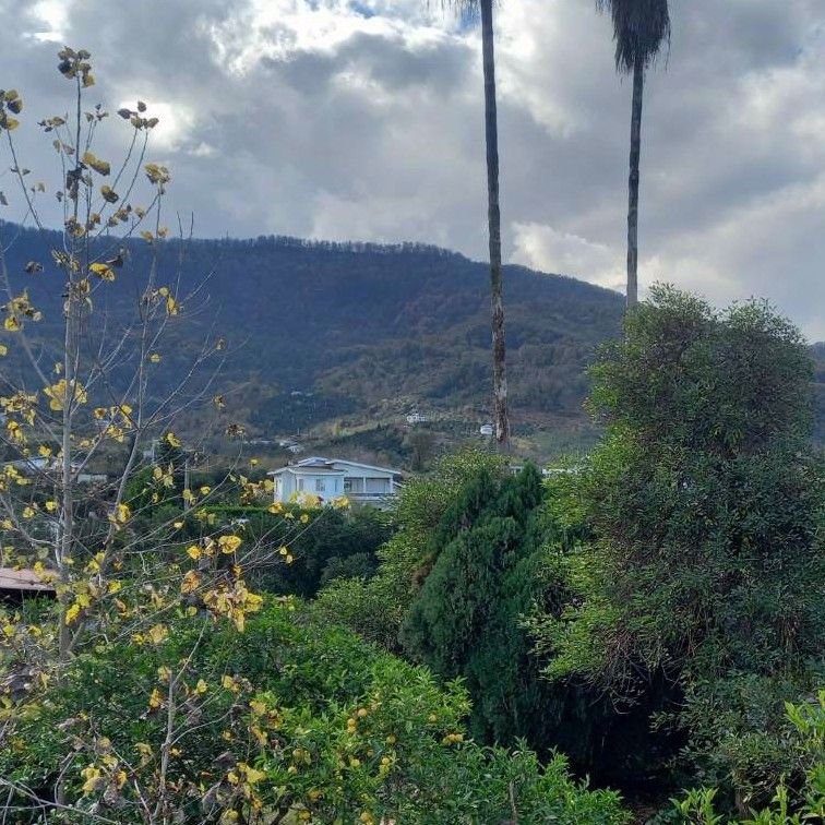 تصویر پروفایل میزبان