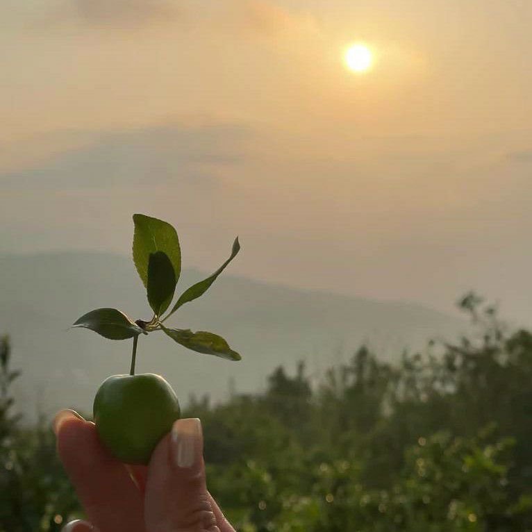 تصویر پروفایل میزبان