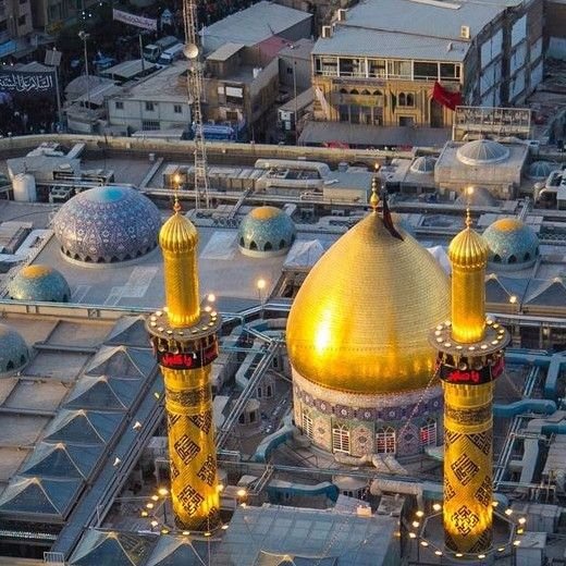 فاطمه شادی پور