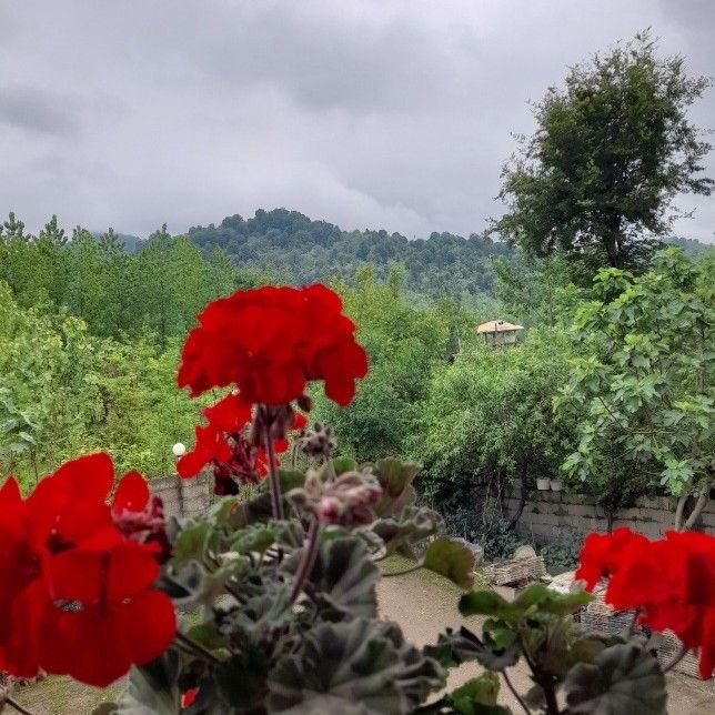 تصویر پروفایل میزبان