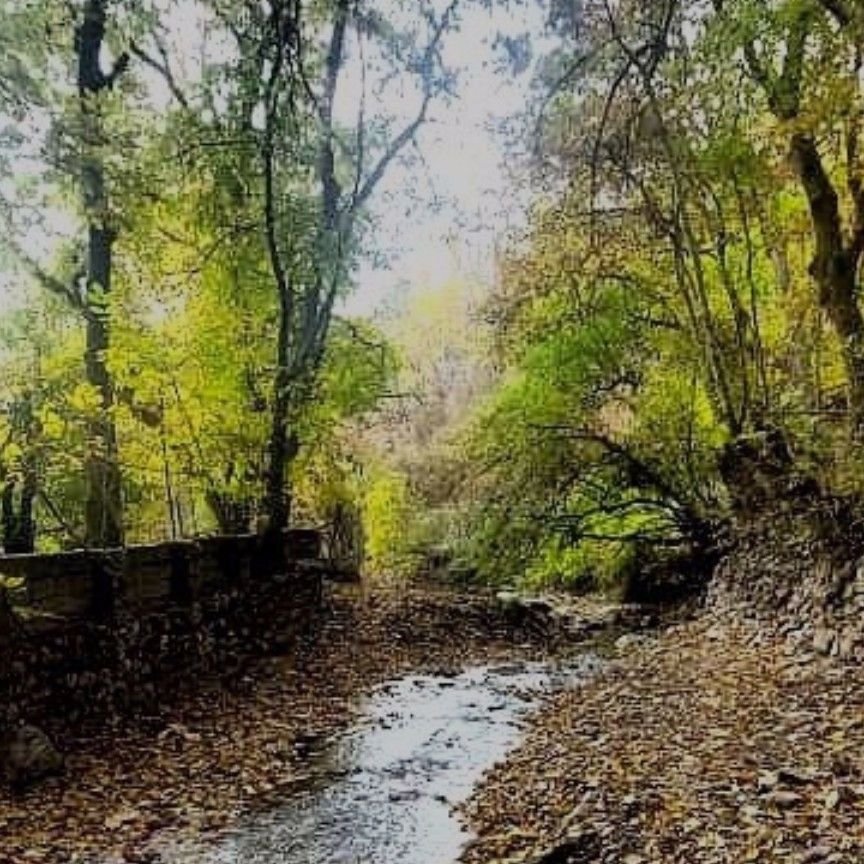 تصویر پروفایل میزبان