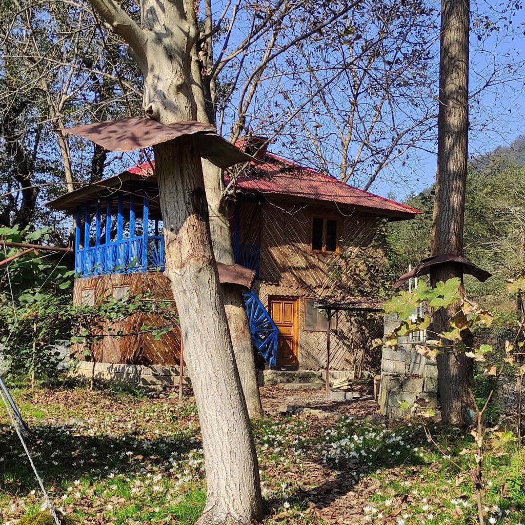 میزبان جاباما - احد  احد منصور کیایی 