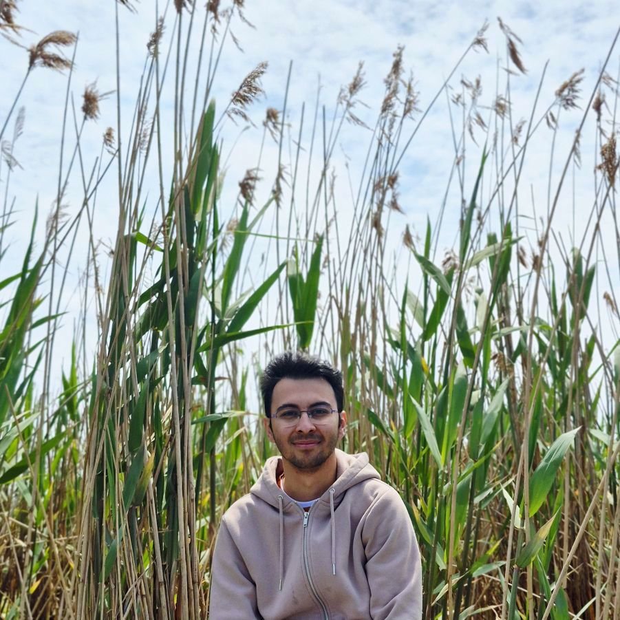 سید مصطفی