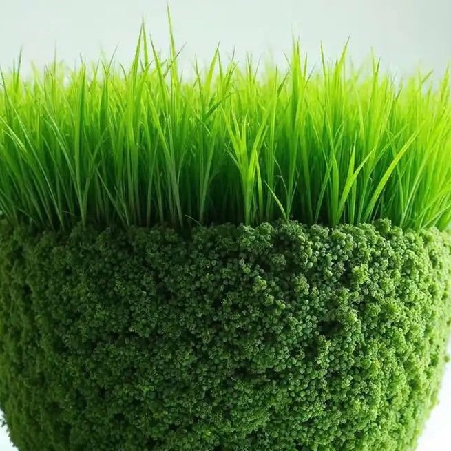 تصویر پروفایل میزبان