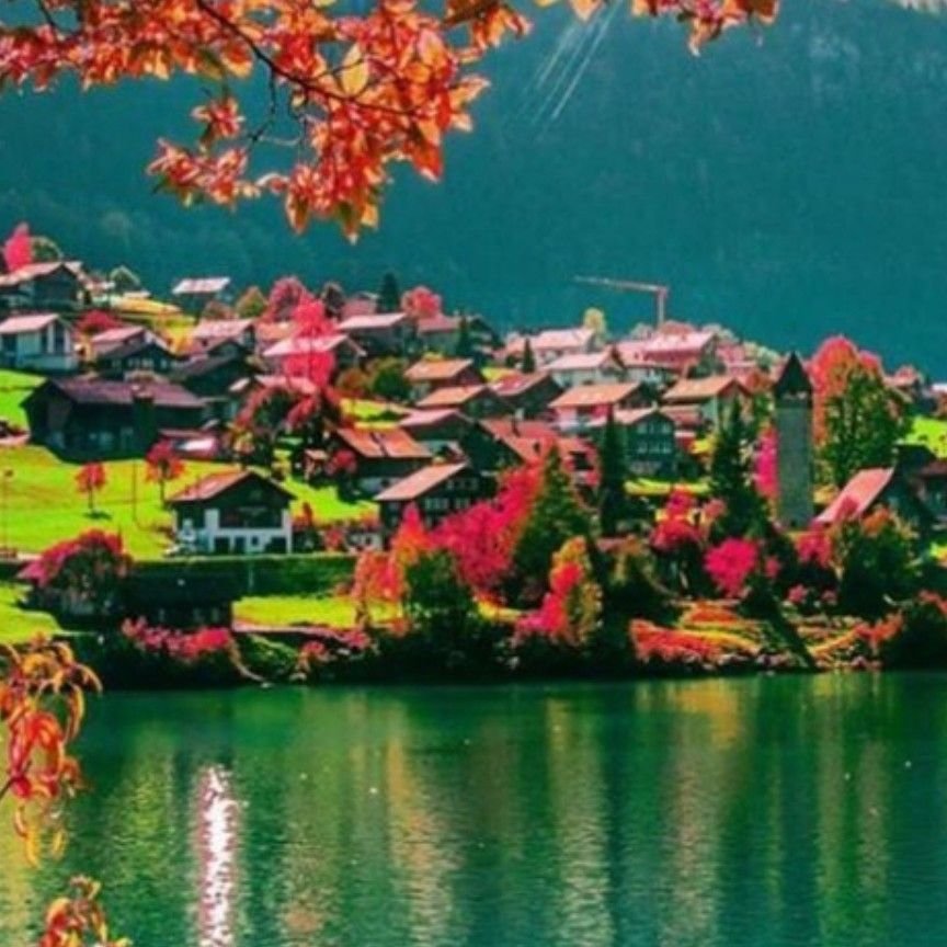 صدیقه