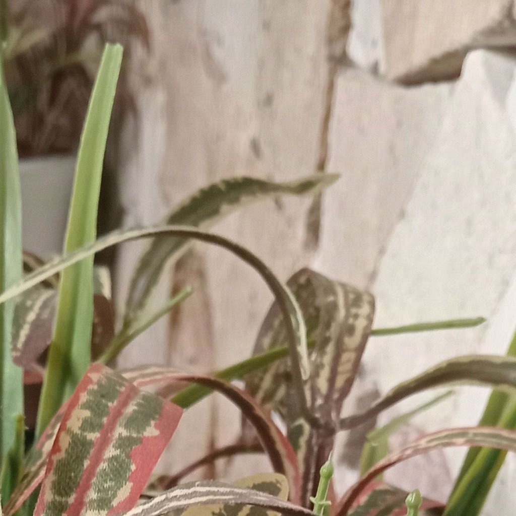 تصویر پروفایل میزبان