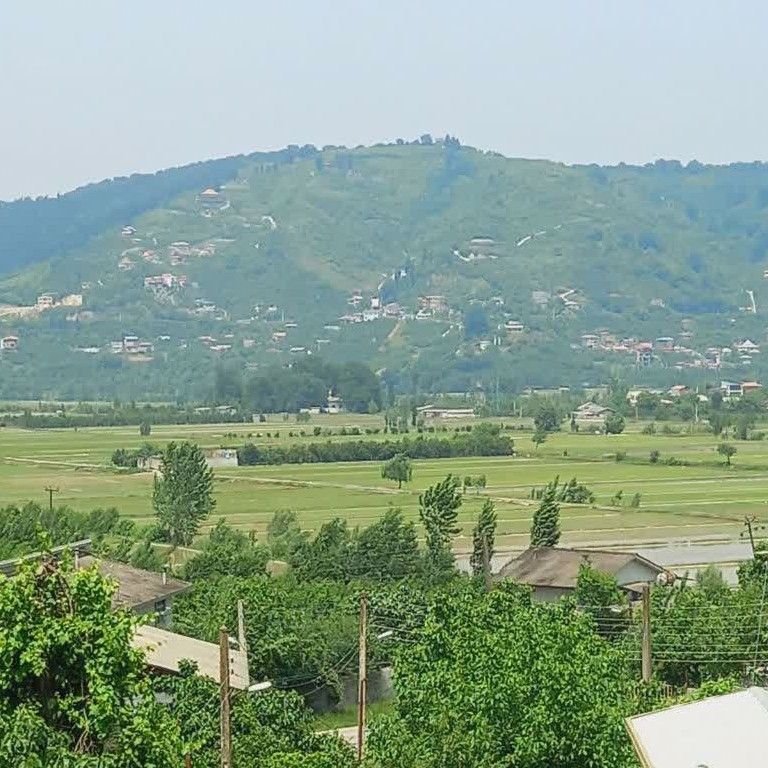 تصویر پروفایل میزبان