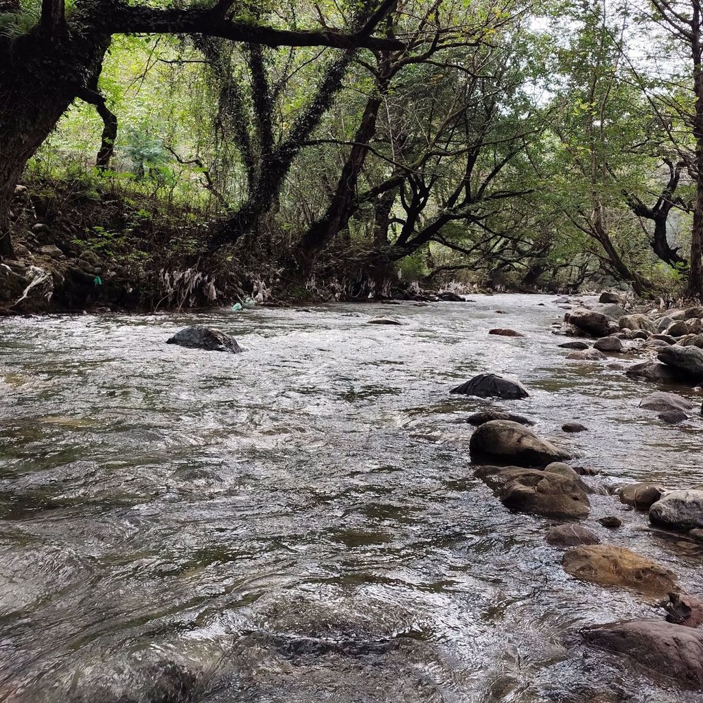 تصویر پروفایل میزبان