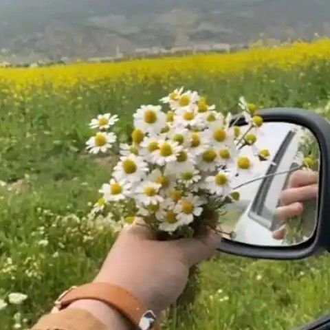 خانم