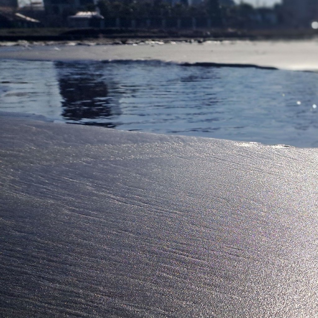 تصویر پروفایل میزبان