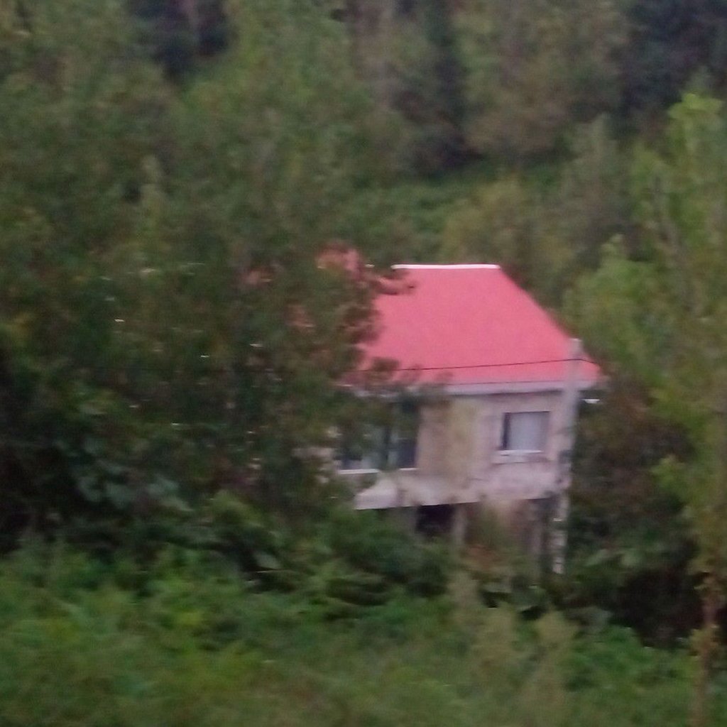 تصویر پروفایل میزبان