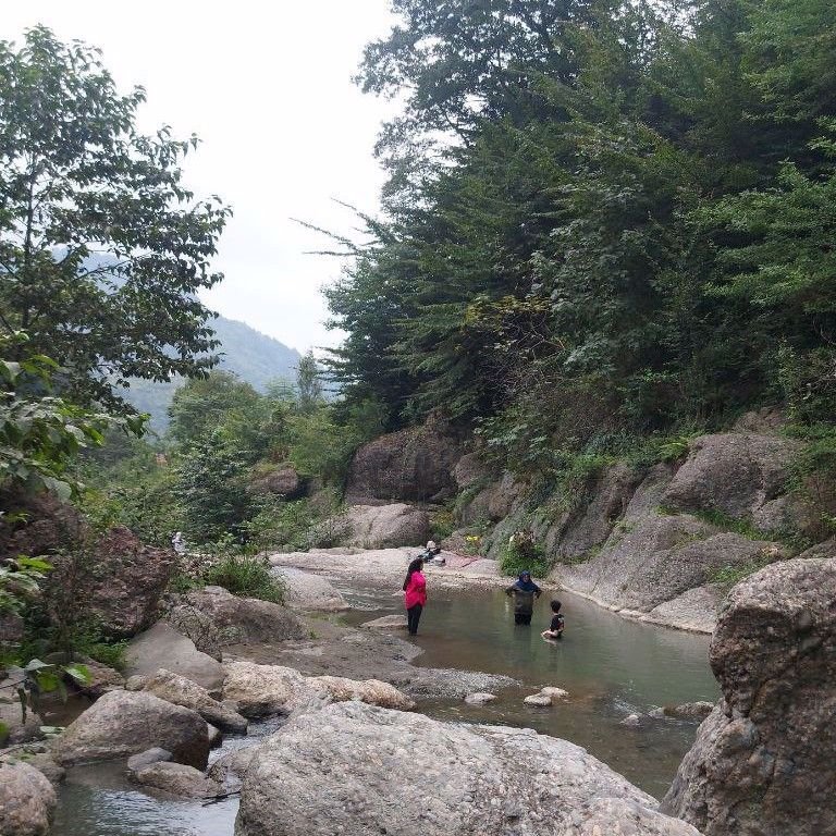 تصویر پروفایل میزبان