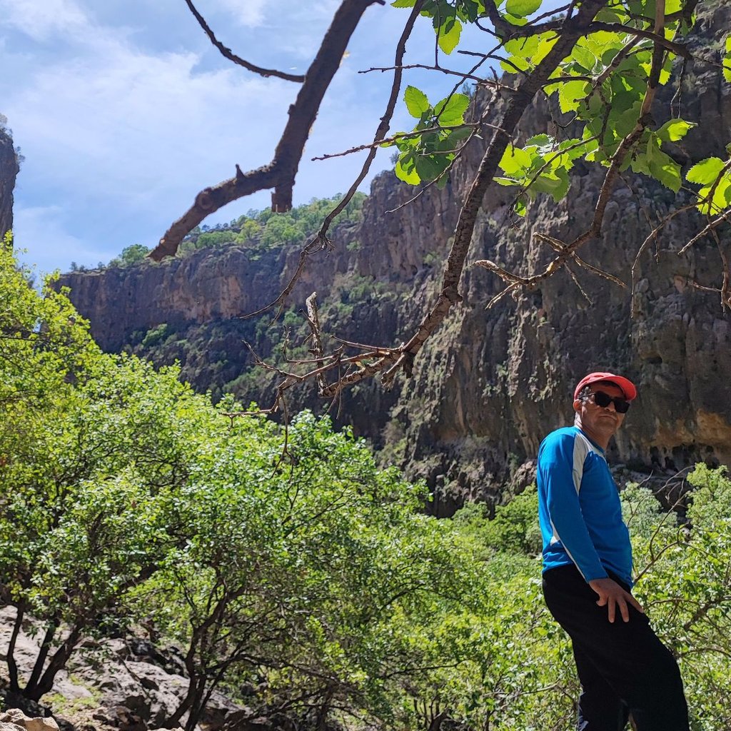 تصویر پروفایل میزبان