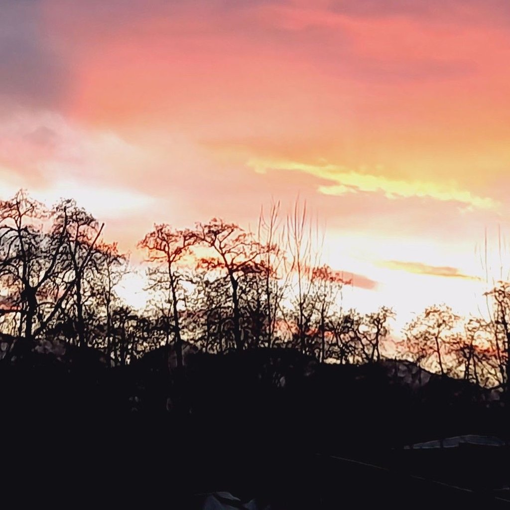 تصویر پروفایل میزبان