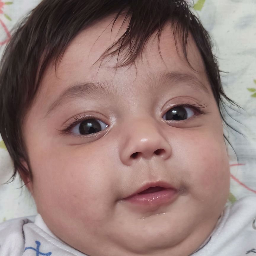 محمد علی