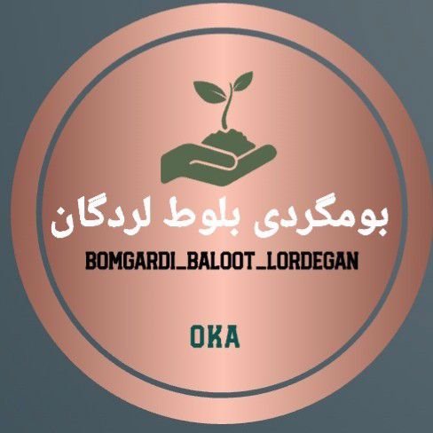 تصویر پروفایل میزبان