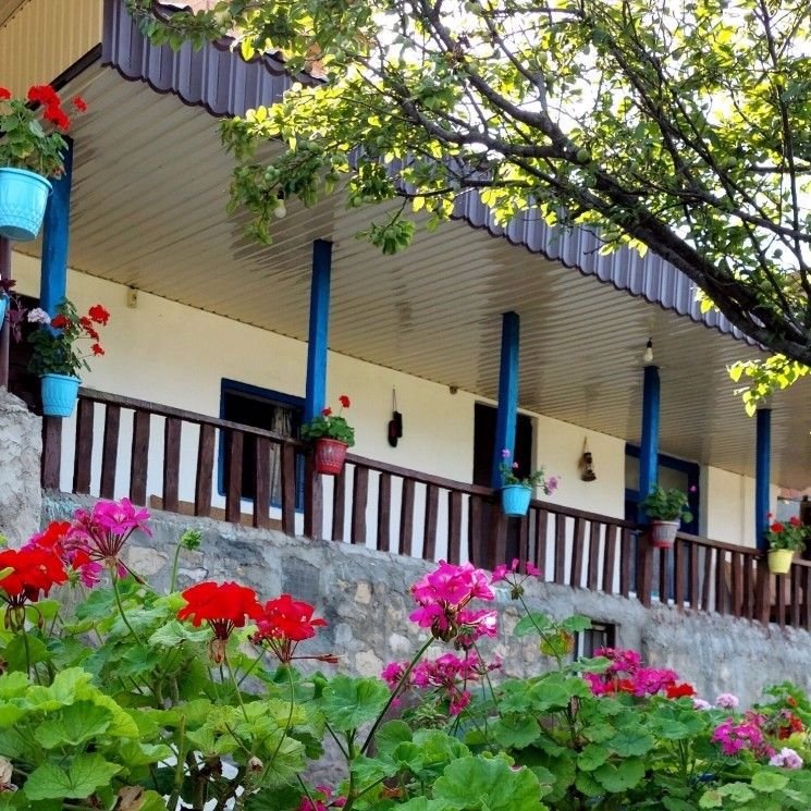 تصویر پروفایل میزبان