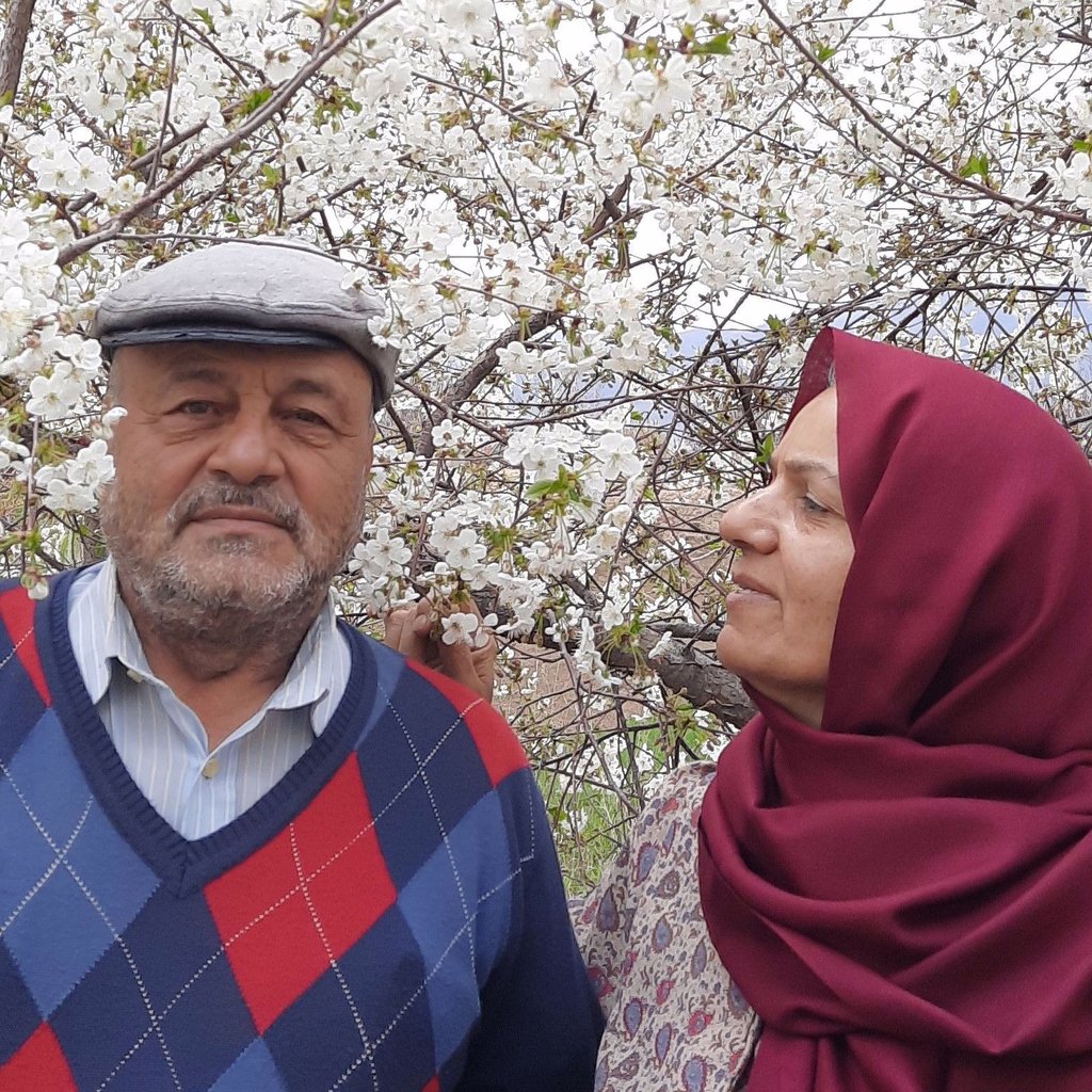 مجید