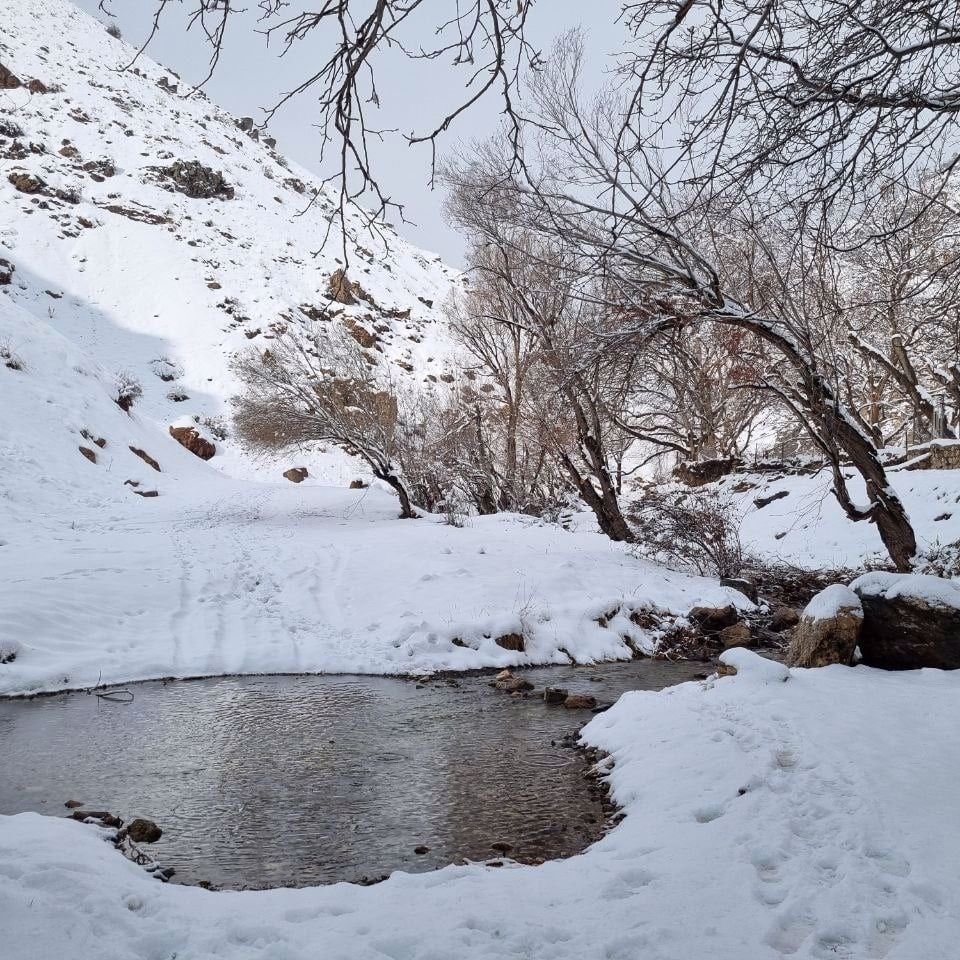 تصویر پروفایل میزبان