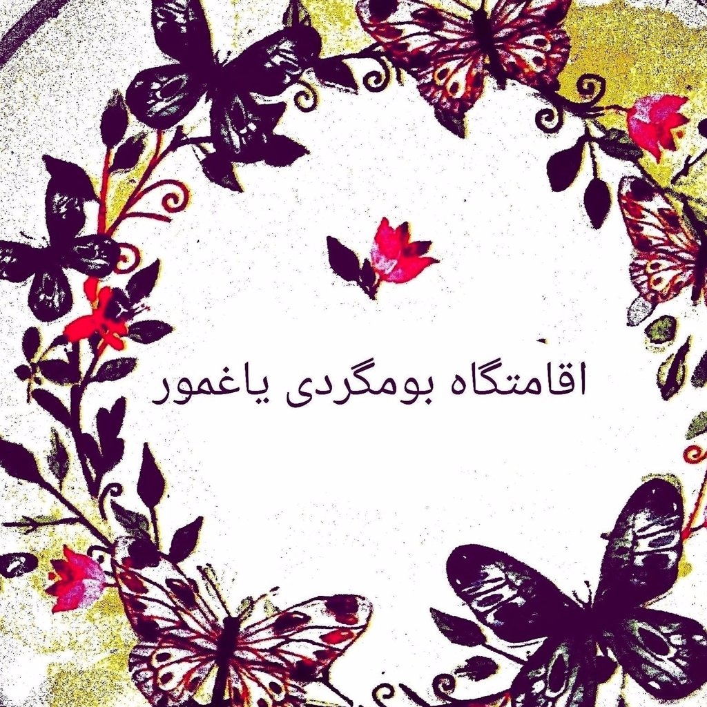 صدری 