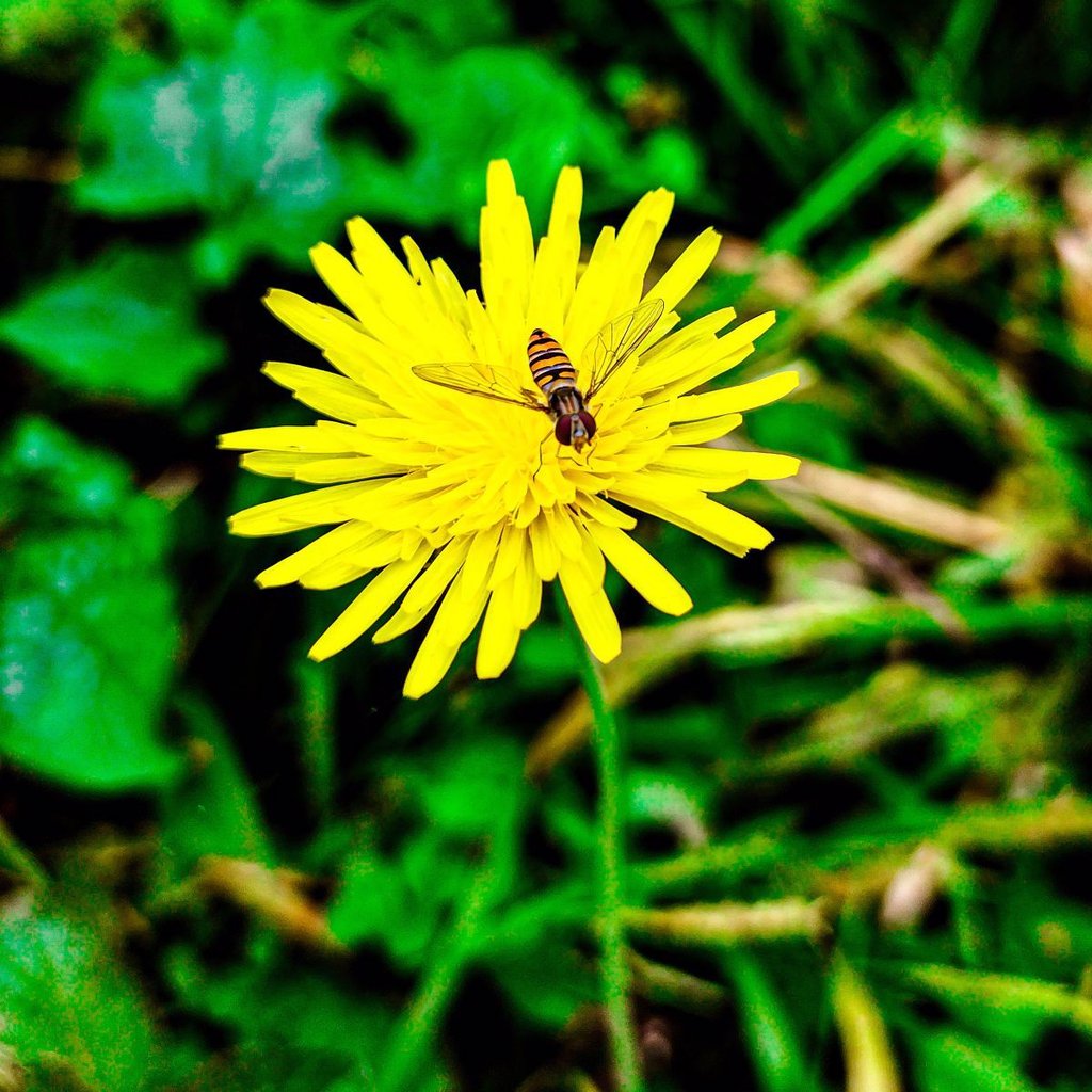 تصویر پروفایل میزبان