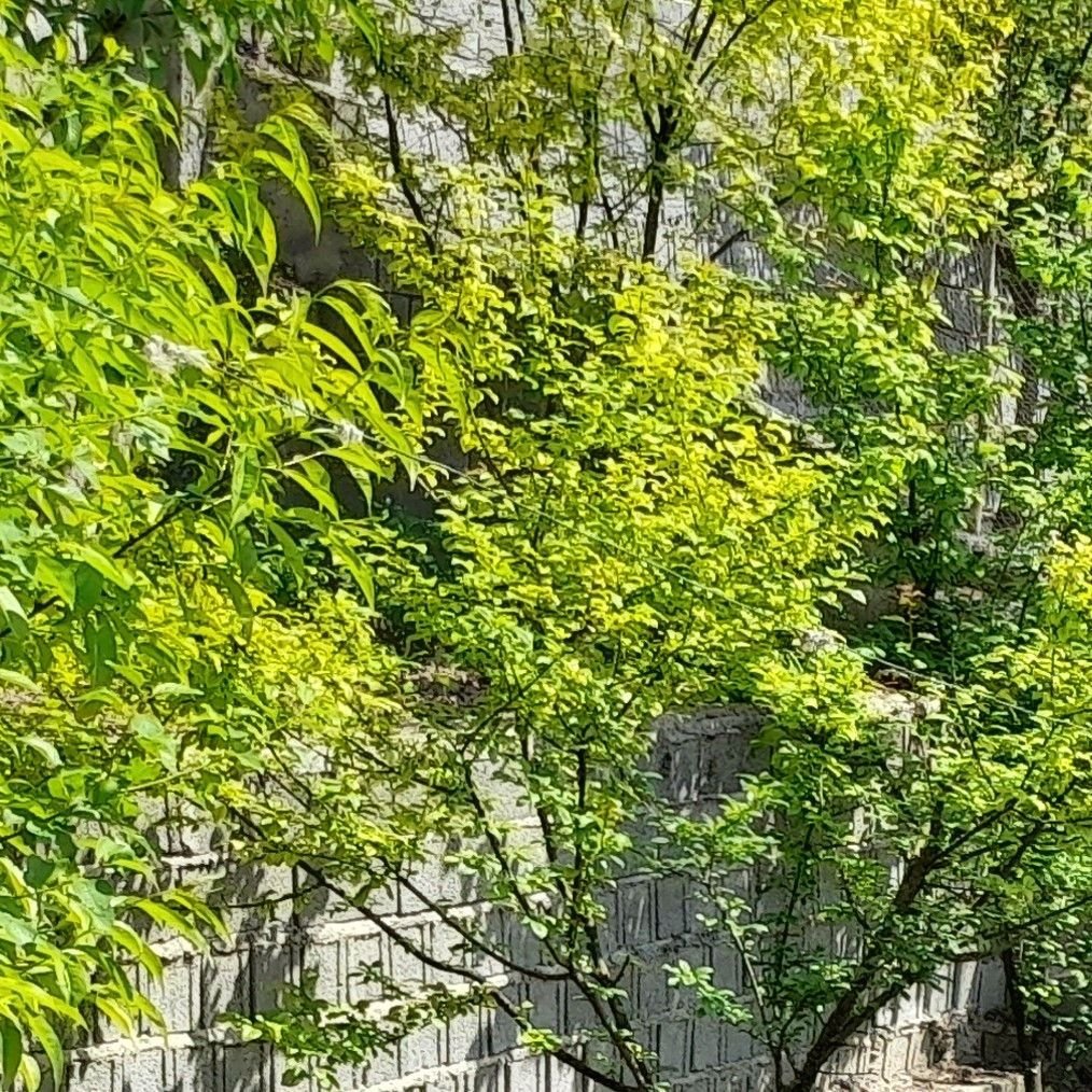 تصویر پروفایل میزبان