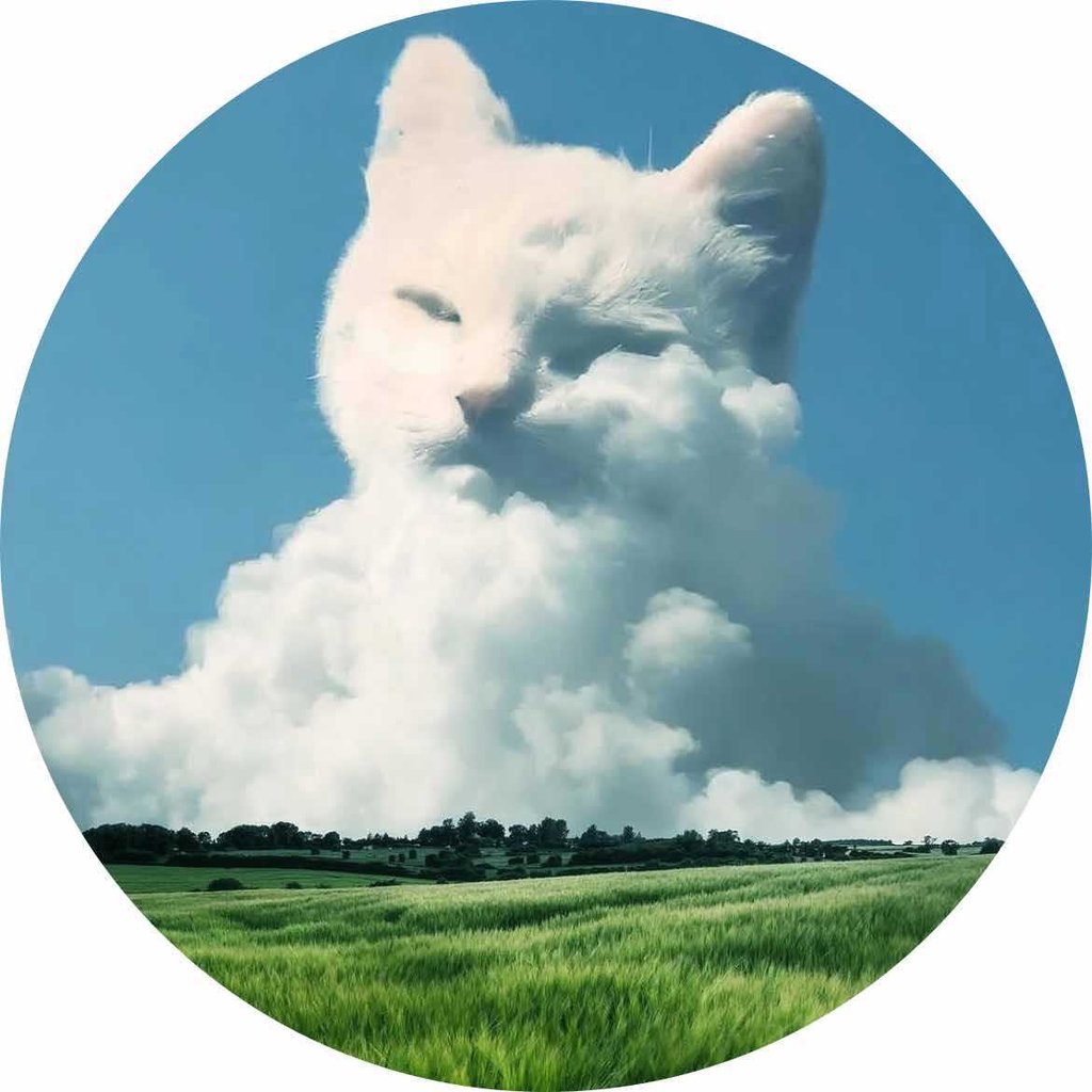 تصویر پروفایل میزبان