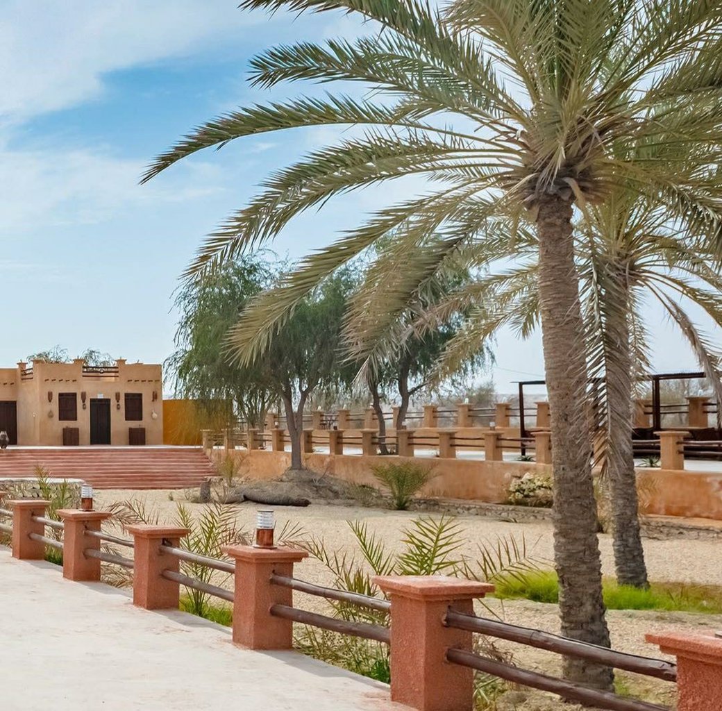 نخل ناخدا - VIP 4