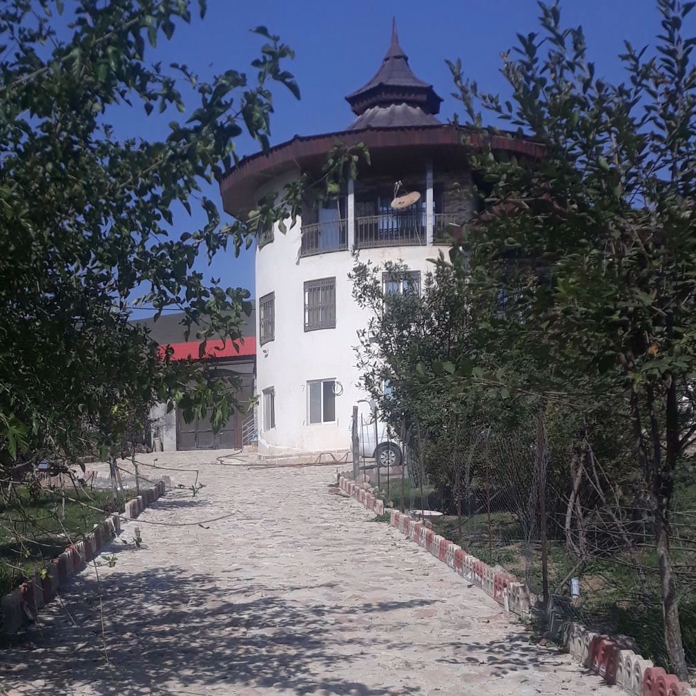 سید محمد رضا