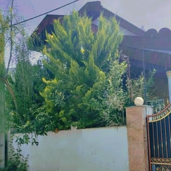 تصویر پروفایل میزبان