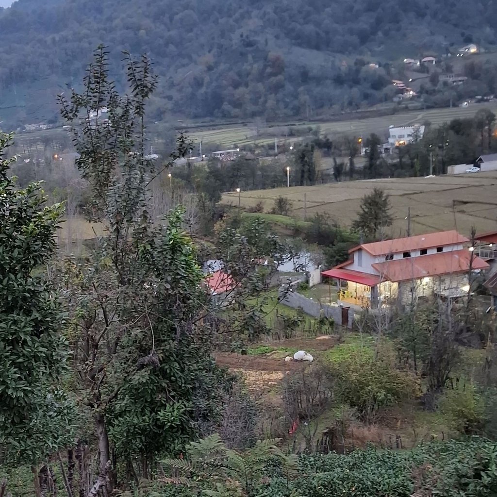 میزبان جاباما - محمد خودبین