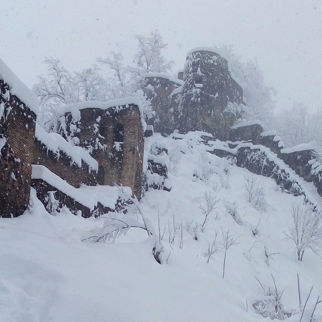 تصویر پروفایل میزبان