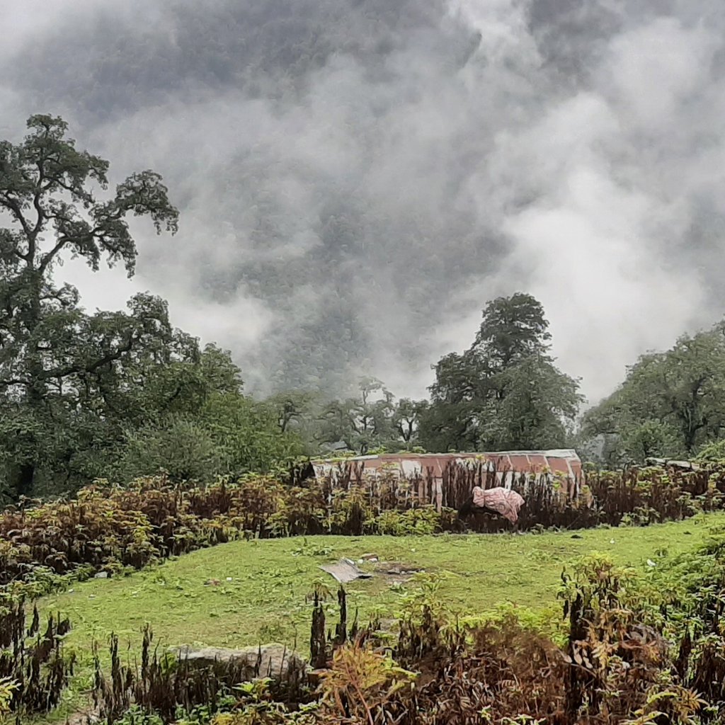 تصویر پروفایل میزبان