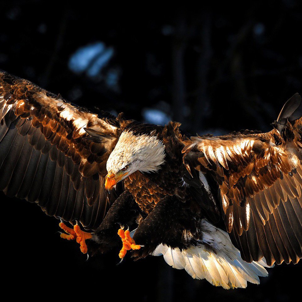 سیداسماعیل