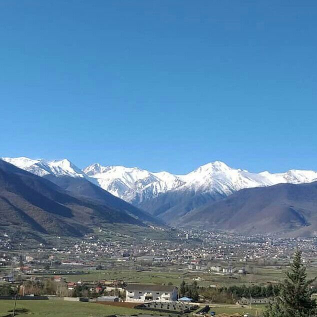 حسن 