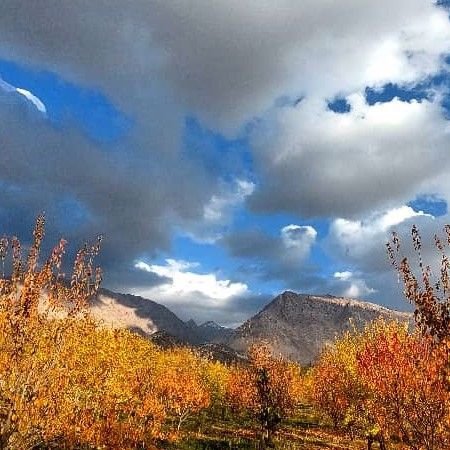 تصویر پروفایل میزبان