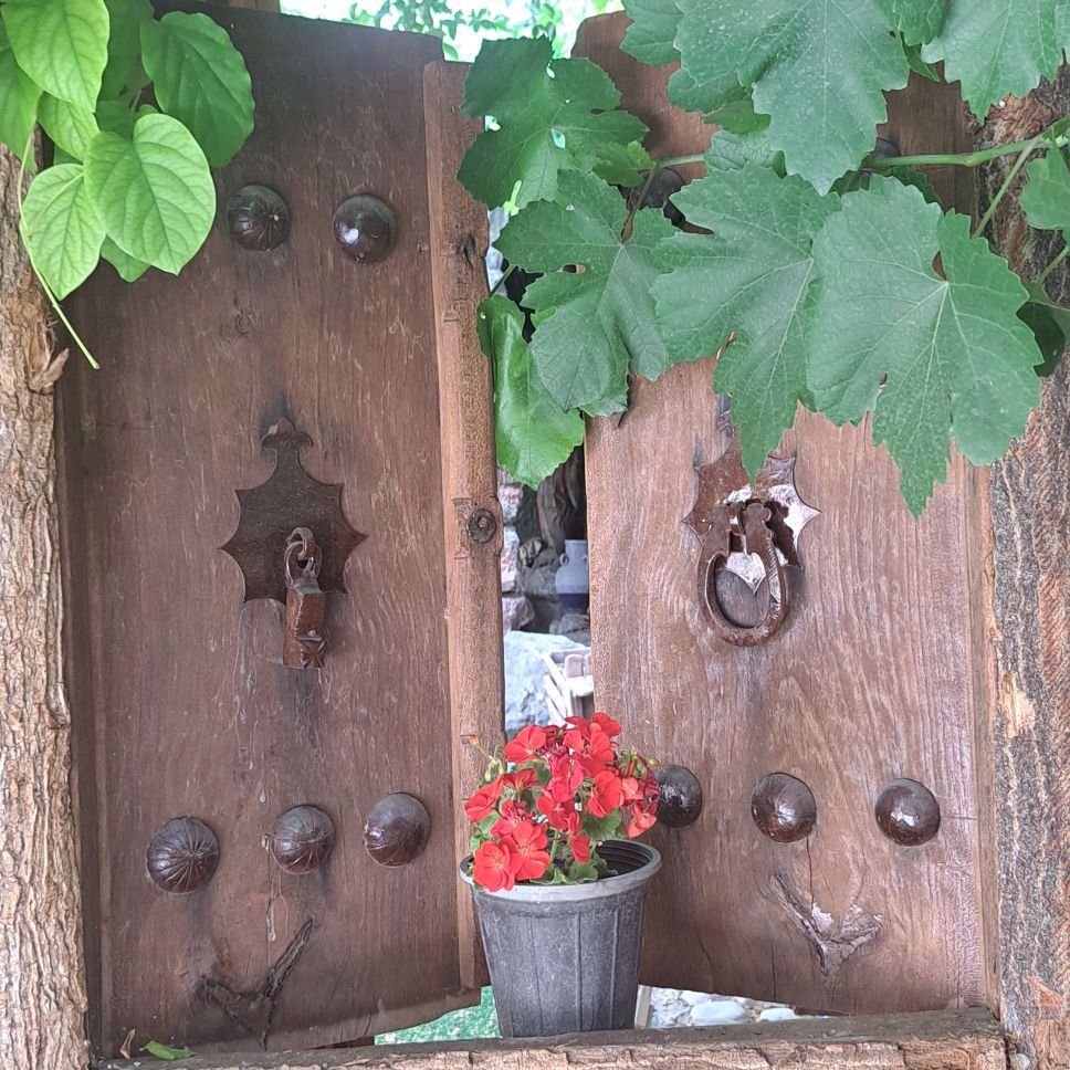 تصویر پروفایل میزبان