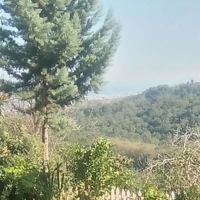 تصویر پروفایل میزبان