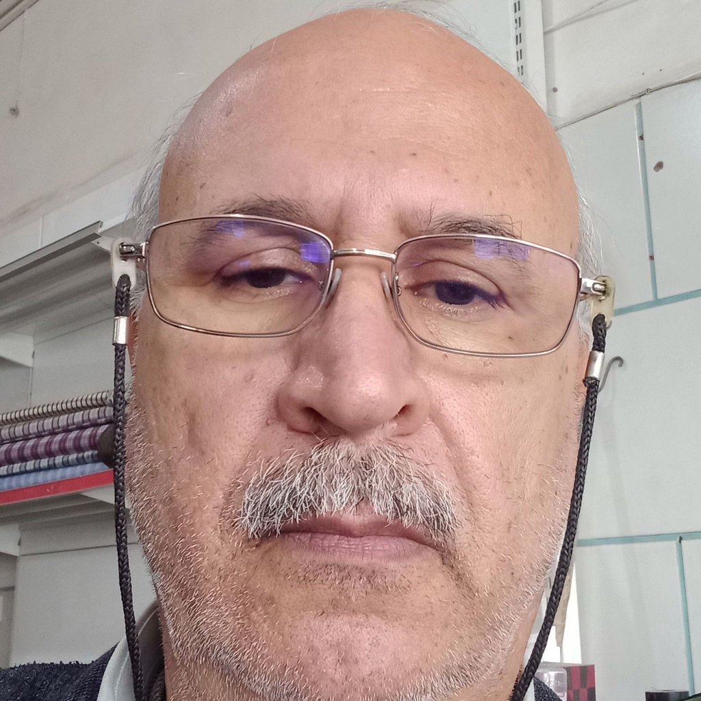 محمد مهدی